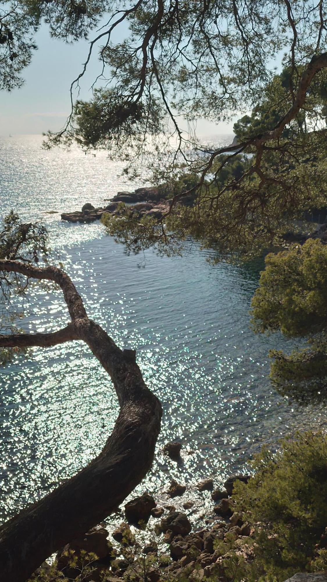 Les Pieds Tanqués - Bed&Breakfast-Spa Saint-Cyr-sur-Mer Exterior foto
