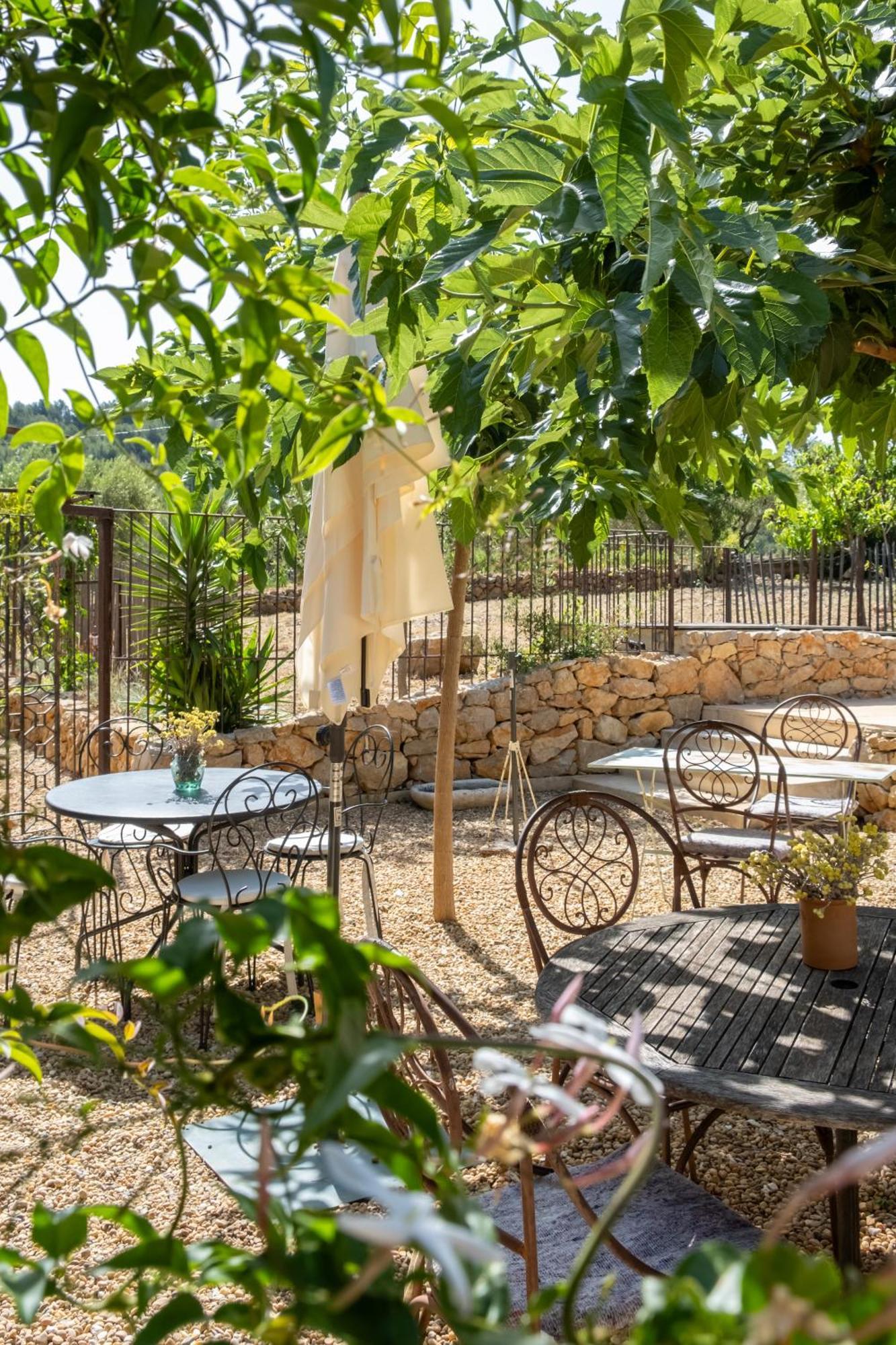 Les Pieds Tanqués - Bed&Breakfast-Spa Saint-Cyr-sur-Mer Exterior foto